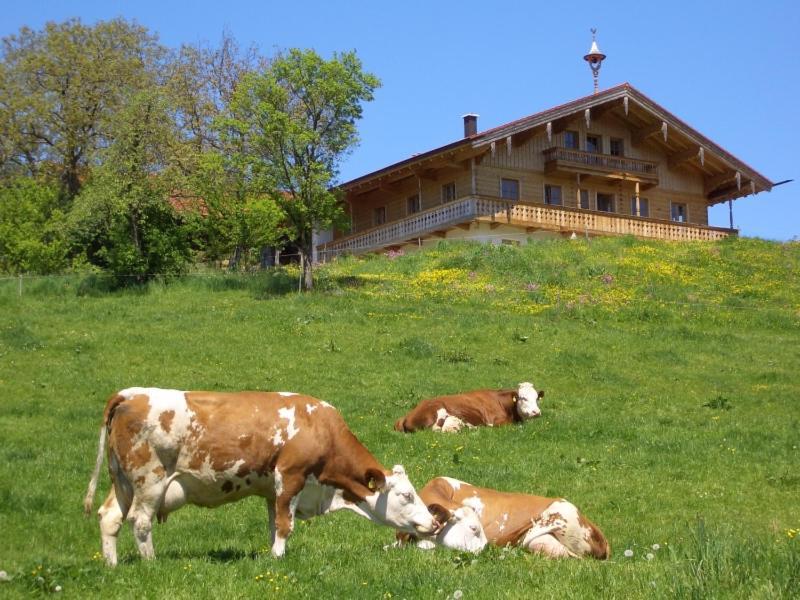 Huberbauernhof Ferienwohnungen Piding Exterior photo